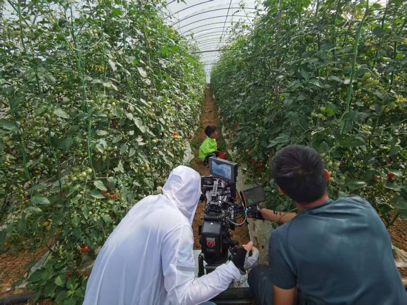 丘北县产品宣传视频拍摄公司进阶指南，助力品牌抢占传播高地